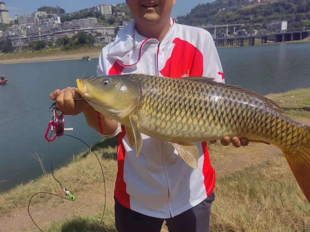 6到12歲兒童釣魚新手教程_野釣技巧順序_野釣經驗分享