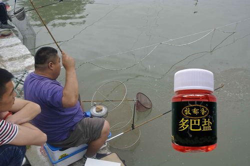 釣鯉魚中藥酒配方_中藥酒釣鯉魚效果_黑坑釣魚藥酒配方大全