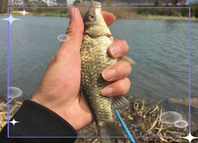 冬天可以釣魚嗎_夏季釣魚天氣選擇_春季釣魚天氣選擇