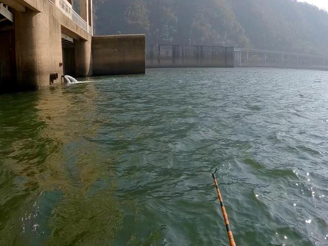 冬季釣魚技巧_冬天能釣魚嗎_水下暖氣房