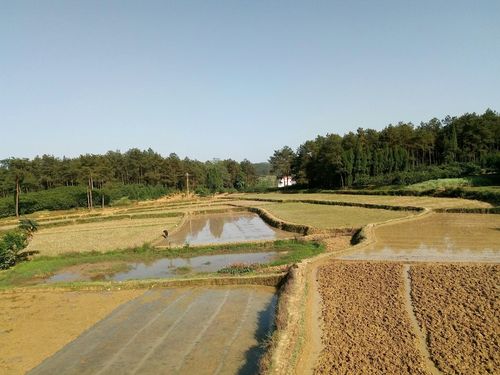 洞口縣介紹_洞口縣天氣預報_洞口縣旅游景點