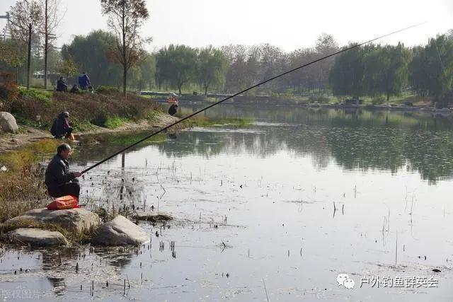 陽光釣魚網廣州釣魚論壇_釣魚網平臺_陽光釣魚網