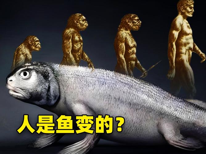 魚到人的進化過程_娃娃魚是人類祖先嗎_人類從魚演變而來