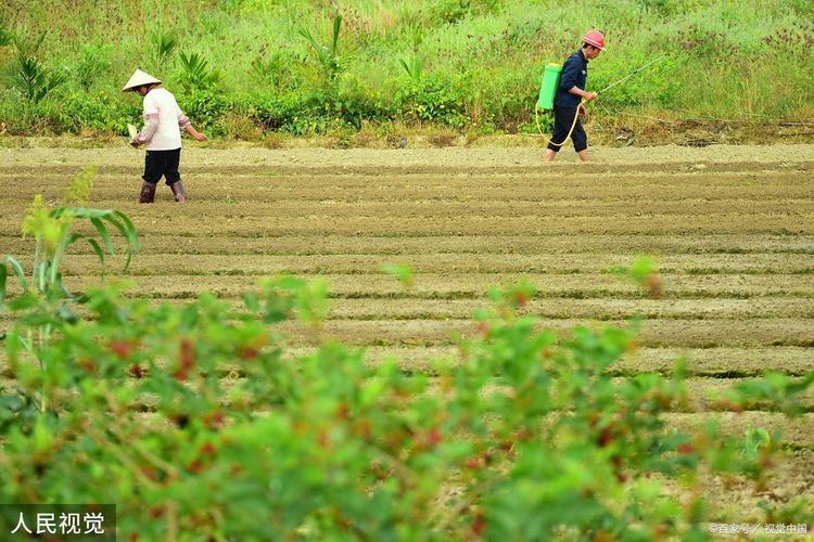 80歲老年卡補貼哪些地方能用？快查查你家老人領了沒