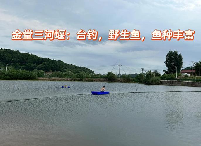 附近收費釣魚場在哪里_我位置附近的野釣點不收費_附近收費釣魚的水庫
