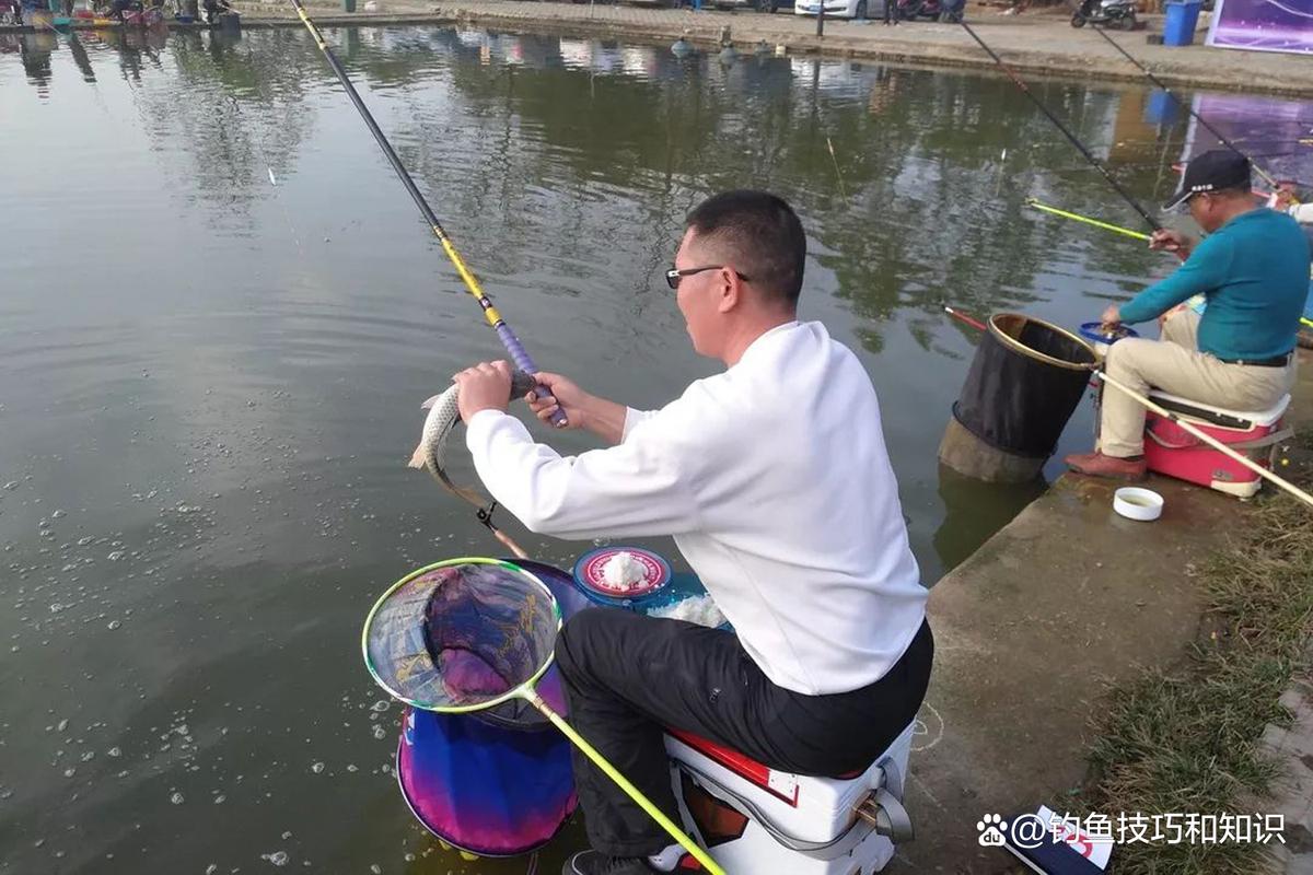 黑坑釣位選擇_黑坑垂釣技巧_黑坑釣魚教學