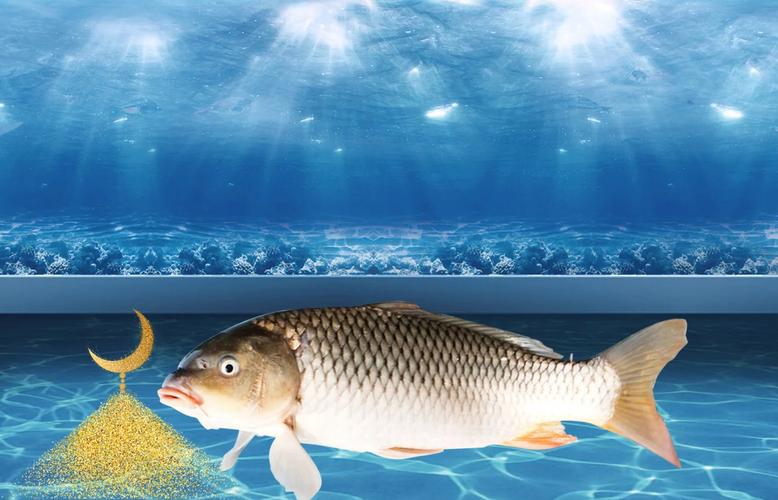 黑坑釣魚教學_黑坑釣位選擇_黑坑垂釣技巧