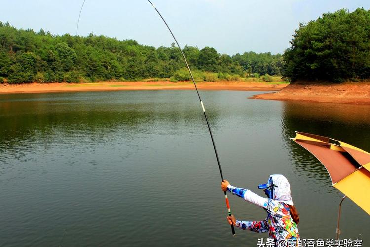 漲水時魚好釣落水時魚難釣_夏季野河漲水落水對釣魚的影響_夏季漲水釣魚技巧？