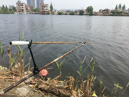 杭州白馬湖釣魚點_杭州垂釣地圖_杭州公共垂釣點