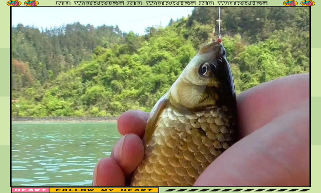 鯽魚餌料搭配_冬季釣鯽魚餌料選擇_冬季釣鯽魚紅蟲肉夾饃制作