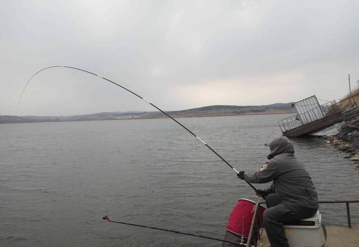 釣大魚視頻大全_釣魚視頻大魚_釣視頻大魚大全圖片