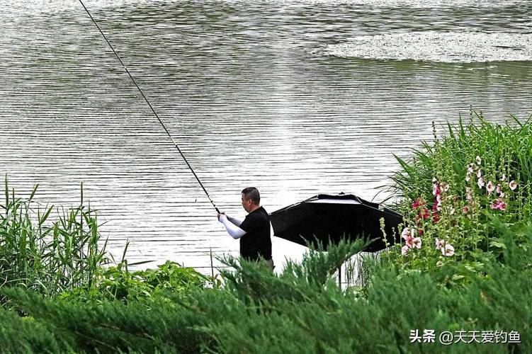 釣魚天氣查詢_釣魚人App_我要下載釣魚人