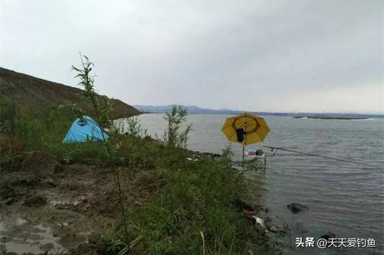 冬季釣魚風向選擇_9月什么風向好釣魚_最佳冬季釣魚風向