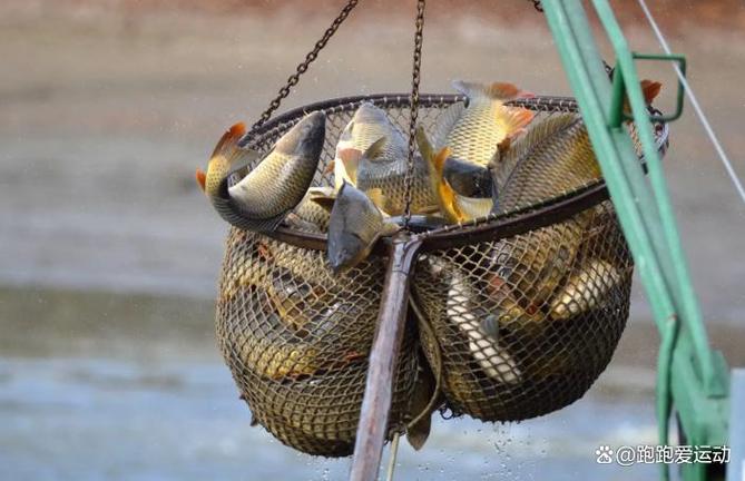 冬季釣魚風向選擇_9月什么風向好釣魚_最佳冬季釣魚風向