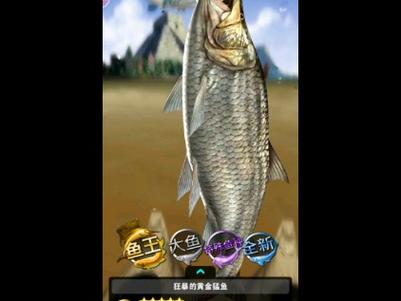 釣魚發燒友電腦破解版_釣魚發燒友手機游戲_模擬釣魚游戲手機版