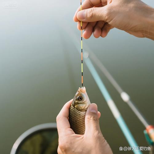 無鉤釣魚神器怎么用_甩釣技巧_無鉤打結釣