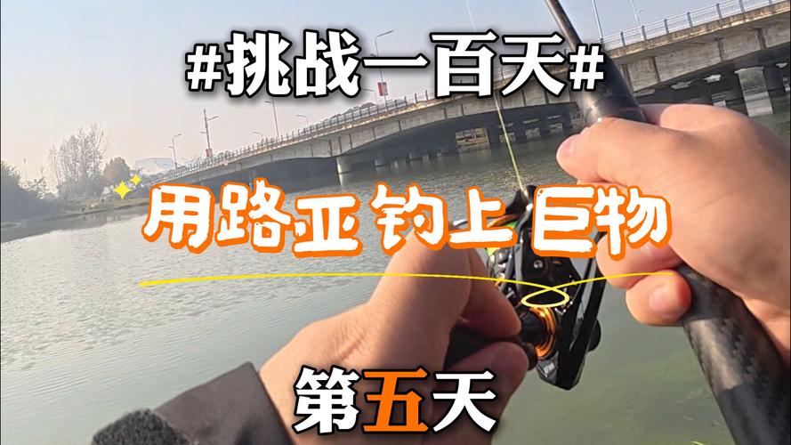 路亞魚種選擇_路亞釣法_路亞什么意思