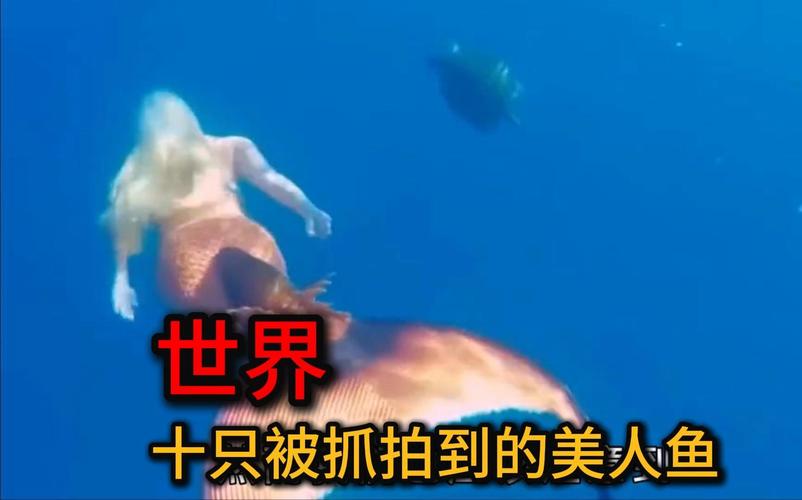 美人魚存在嗎_美人魚傳說 儒艮 海牛