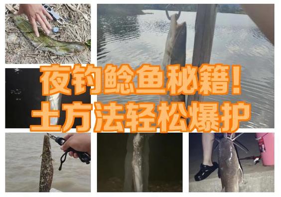 無鉤釣魚網使用口訣是什么_野釣大魚技巧_釣魚找窩口訣