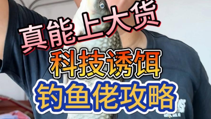 釣魚技術_新手釣魚避坑技巧_新手釣魚必備技巧
