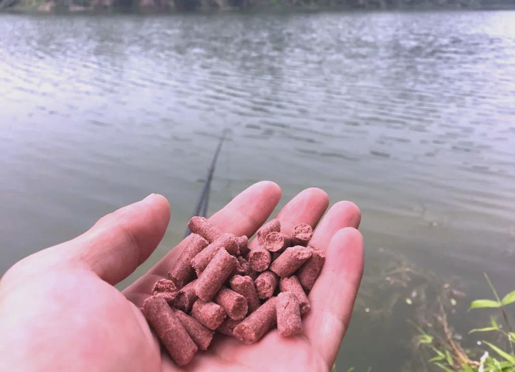 逗釣手法細節_釣魚技術_野釣逗釣技法