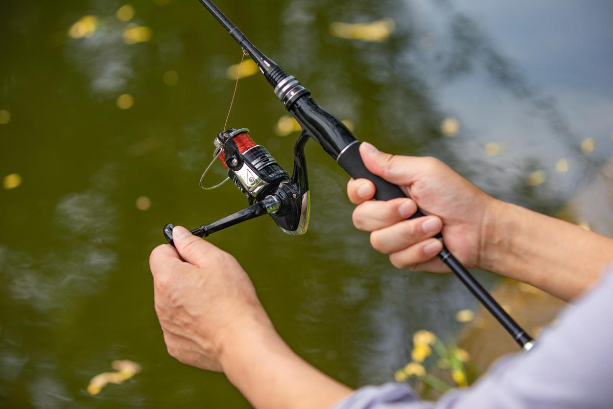 減少錨魚方法_釣鰱鳙技巧_釣鰱魚視頻