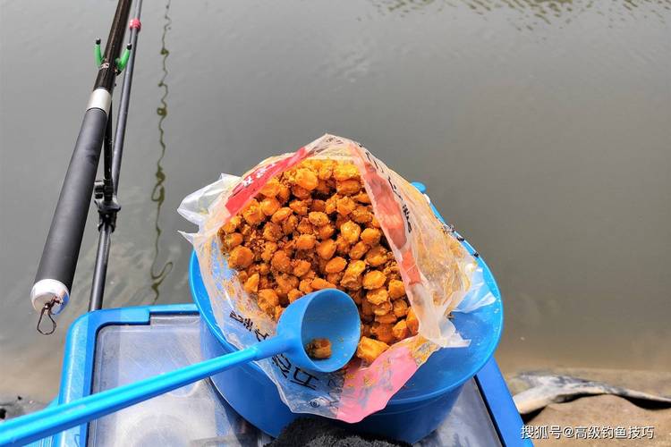 釣魚冬季技巧_冬季釣魚打窩技巧_冬季魚窩料配方