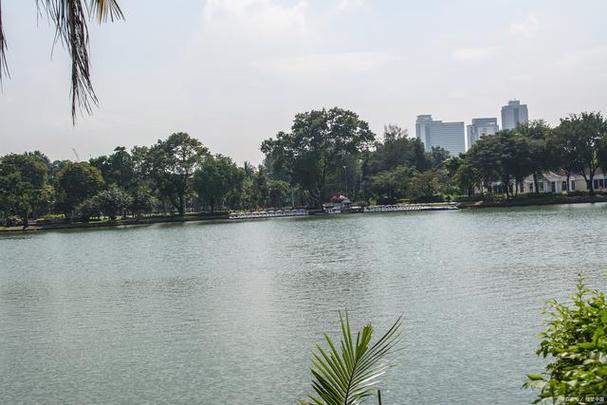 流花湖公園釣魚收費_流花湖公園釣魚聯系方式_廣州流花湖釣魚收費