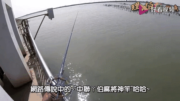 前打竿正確使用視頻_前打桿定義與結構_前打桿功能定位與使用場景