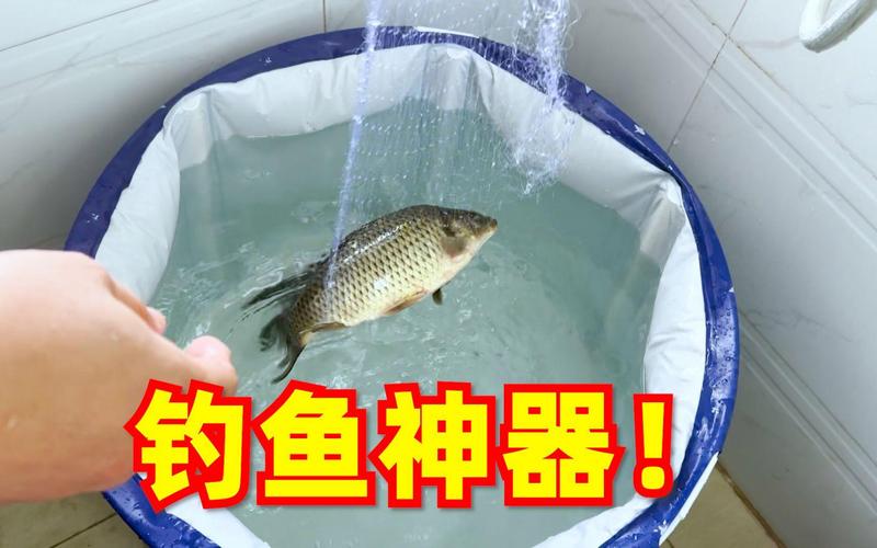 霸王捆怎么釣魚_河南魯山自制神器釣魚_霸王捆釣魚