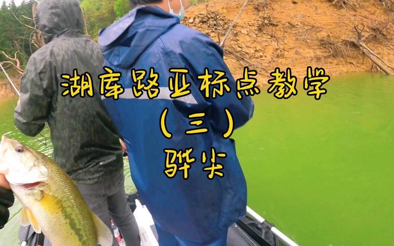 路亞視頻湖庫實戰_庫湖水庫釣魚的小訣竅_路亞湖庫用什么餌
