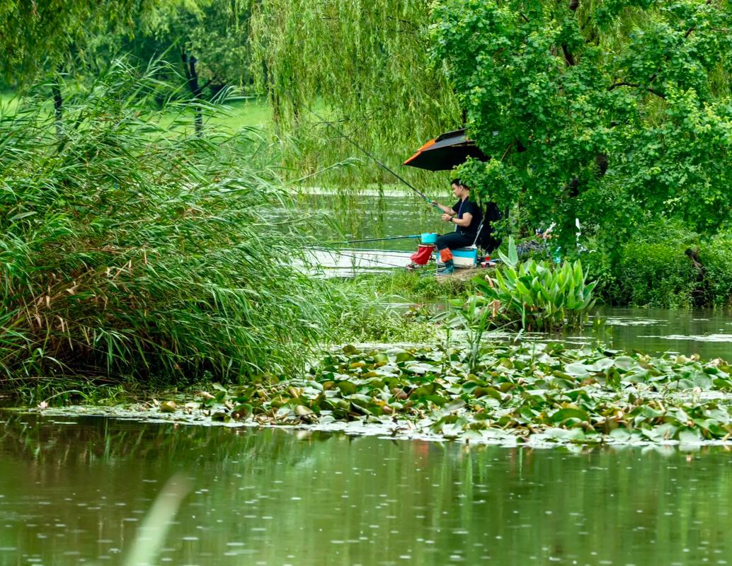 雨天釣魚技巧_小雨暴雨釣魚方法_雨天怎樣才能釣到魚