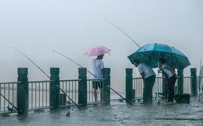 小雨天魚情_雨天怎樣才能釣到魚_雨天如何釣魚
