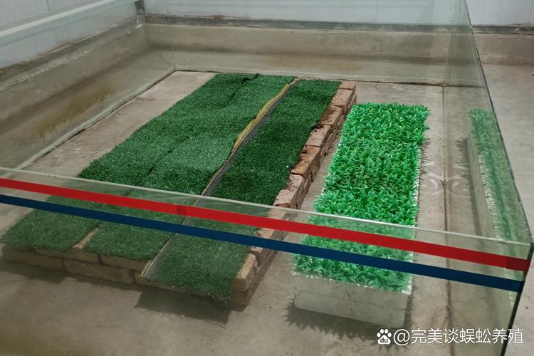 蜈蚣如何飼養教程_養蜈蚣方法步驟_蜈蚣飼養環境濕度要求