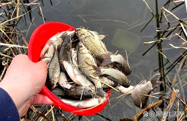 百句釣魚口訣是什么_野釣技巧_野釣經驗順口溜