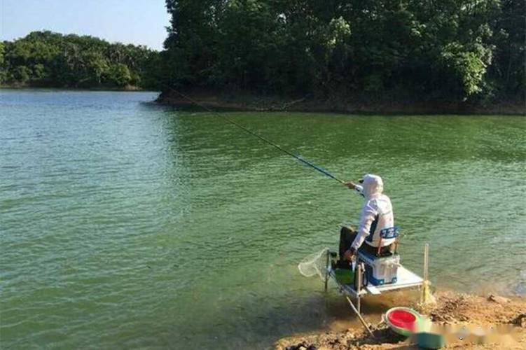 合肥釣魚_大房郢水庫垂釣體驗_合肥大房郢水庫釣魚攻略