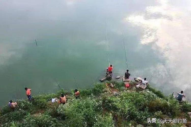 大房郢水庫垂釣體驗_合肥大房郢水庫釣魚攻略_合肥釣魚