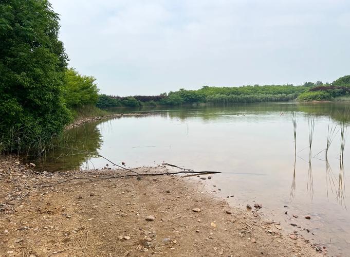 合肥雙鳳湖垂釣攻略_雙鳳湖自然風光垂釣體驗_合肥釣魚