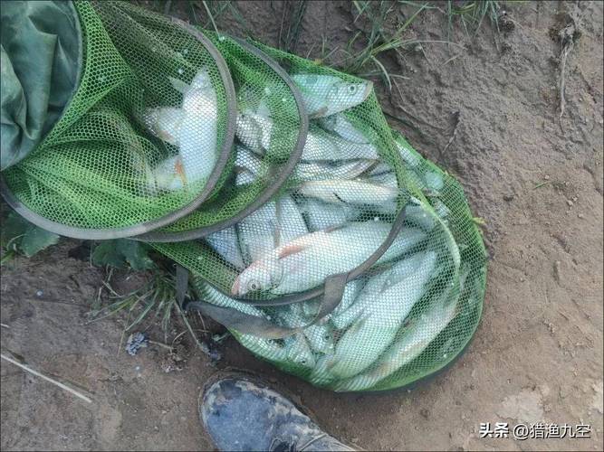 初學釣魚海桿怎么使_初春海竿釣魚技巧_初春海桿釣魚技巧