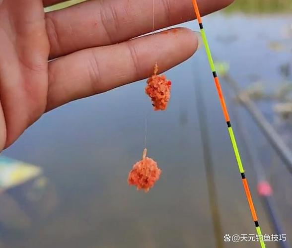 釣魚陰雨連續天氣好釣嗎_連續陰雨天釣魚_連續陰雨天氣怎么釣魚