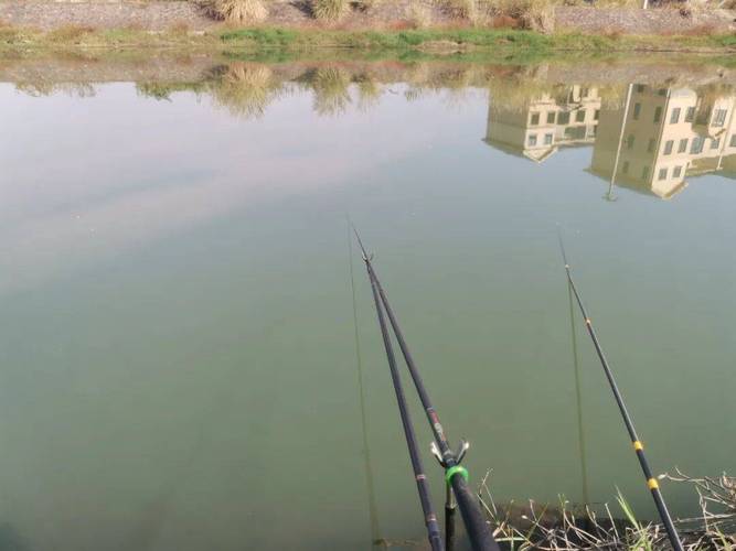 春季用什么釣魚_春季風浪天氣野釣調漂方法_春季風浪天氣野釣技巧