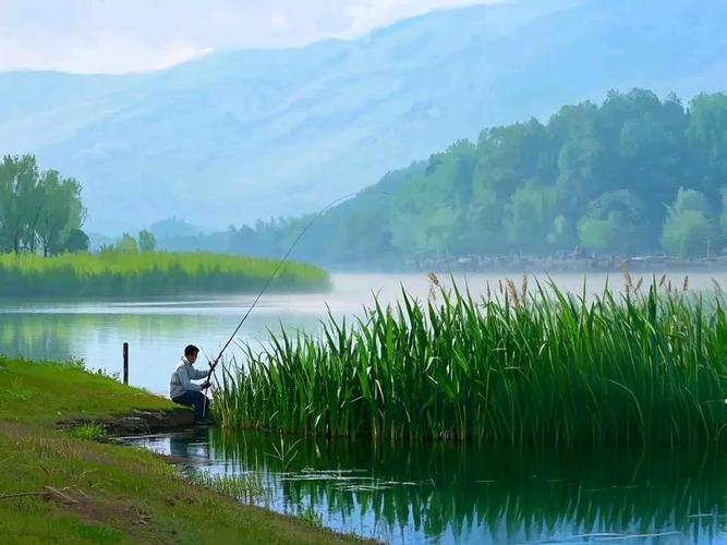 春季大溫差天氣野釣_春季用什么釣魚_釣位選擇