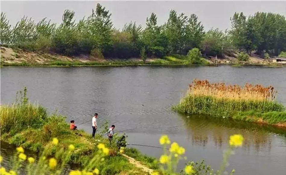 春季用什么釣魚_釣位選擇_春季大溫差天氣野釣