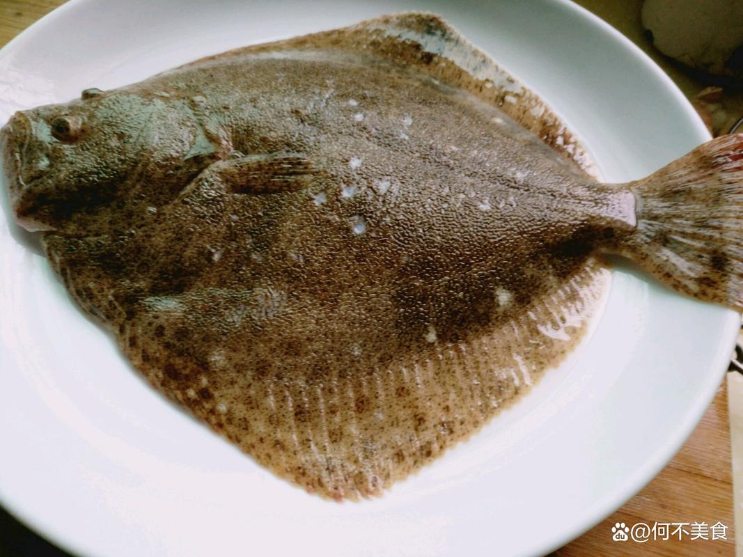 多寶魚是海魚還是淡水魚_多寶魚生態環境與分布_多寶魚是海魚還是淡水魚