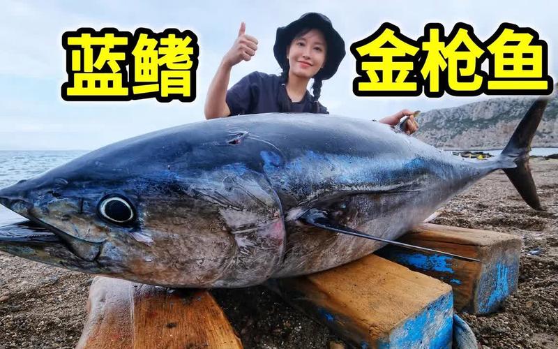 金槍魚不同品種特點_金槍魚品種介紹_藍鰭金槍魚圖片