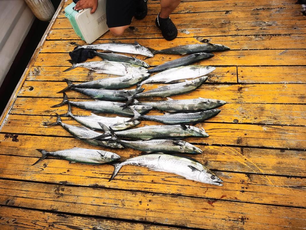 攸縣免費釣魚水庫_攸縣網嶺鎮沙河釣魚_攸縣的水庫