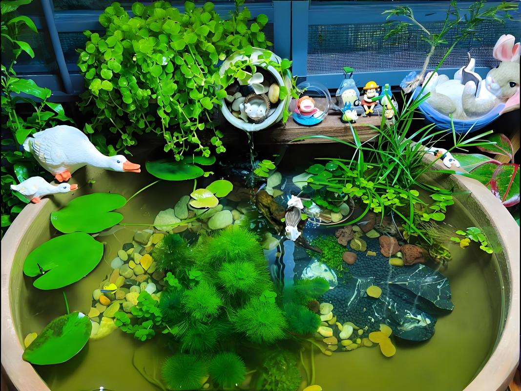 家中養魚好不好_家中養魚幾條風水最好_家中養魚
