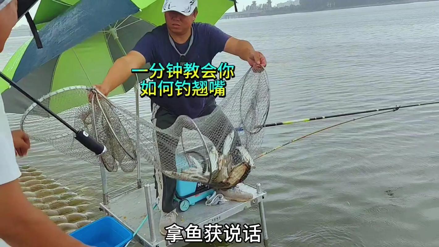 玉米釣魚絕招_玉米釣翹嘴技巧_嫩玉米打窩節奏