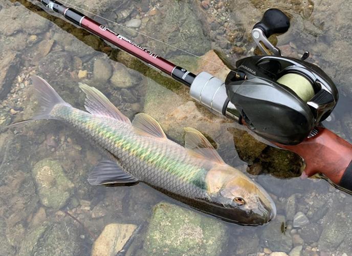 神仙釣法_五種常見的釣魚方式_民間釣法