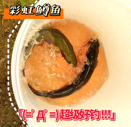 民間釣法_五種常見的釣魚方式_神仙釣法
